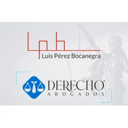 Logotipo de Luis Perez Bocanegra