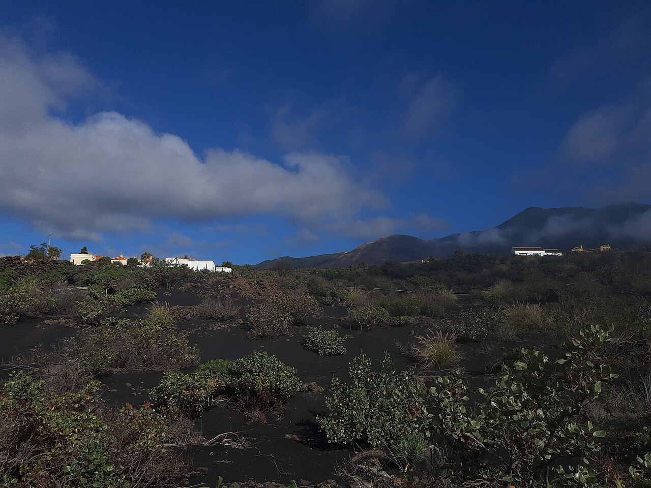 Terreno cubierto de ceniza volcánica negra con matorral disperso en la isla de La Palma, con viviendas blancas al fondo y el cono volcánico de Cumbre Vieja en el horizonte