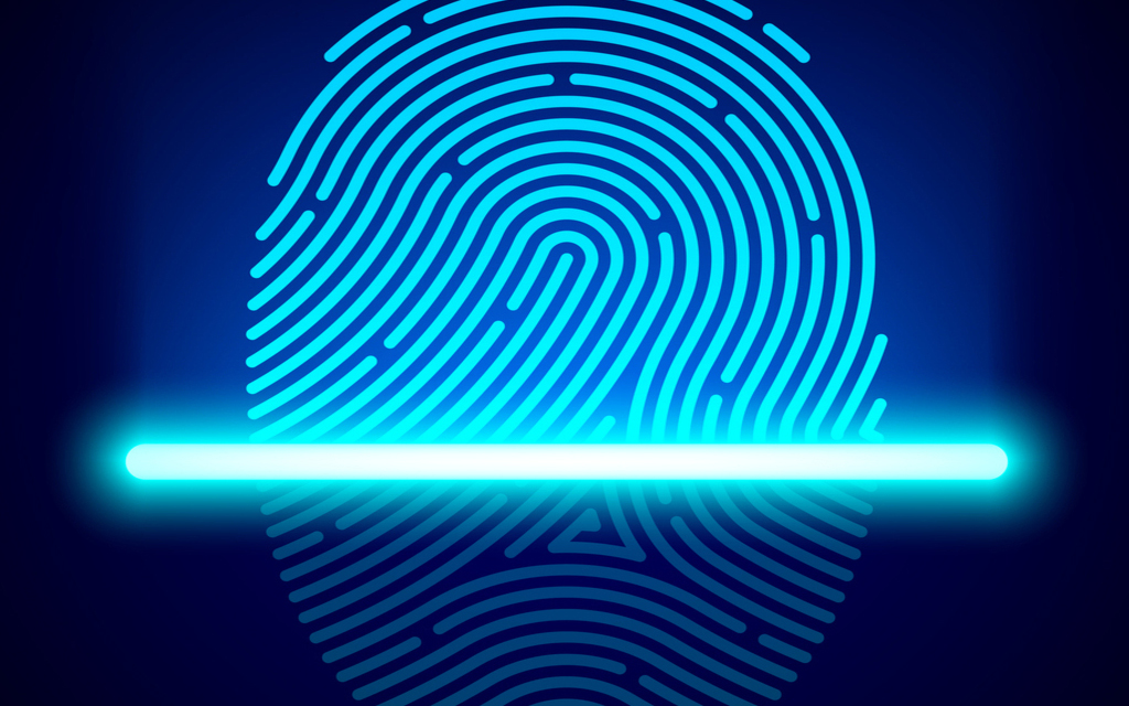 Derecho de seguimiento digital o bien 'tracking'