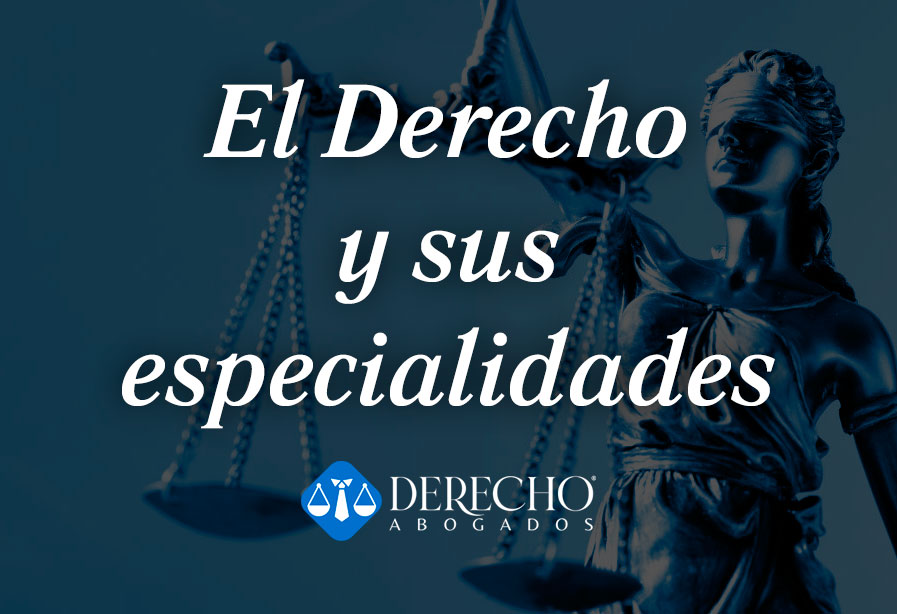 Las diferentes ramas y especialidades del derecho