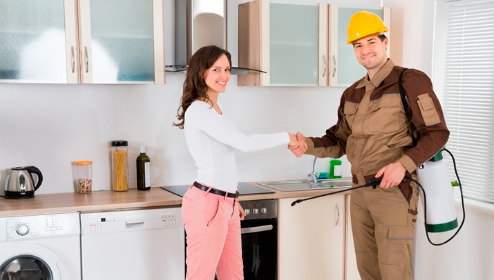 ¿Cómo deshacerte de los roedores?