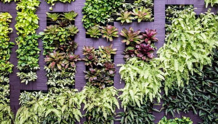 Jardín vertical: qué es y cómo crearlo