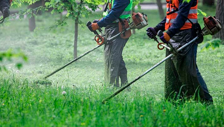 Algunos beneficios importantes del desbroce de fincas