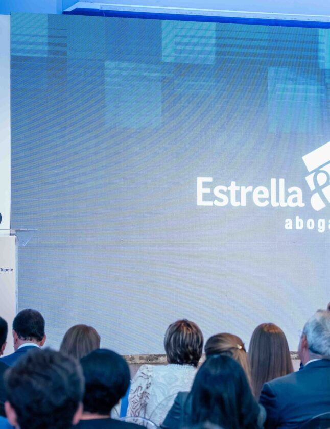 Guillermo Estrella Ramia: la arquitectura legal detrás de las inversiones en la República Dominicana
