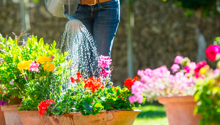 Horario recomendado Horario recomendado